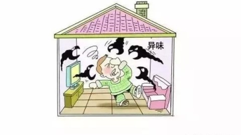 常州装修完家里刺鼻味散不掉？实测6大误区+3招省钱速效法！附龙城花鸟市场绿植清单